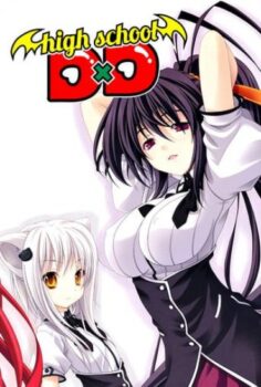 High School DxD